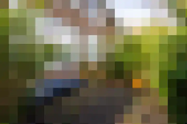 Agaatlaan 9 Utrecht thumbnail 32