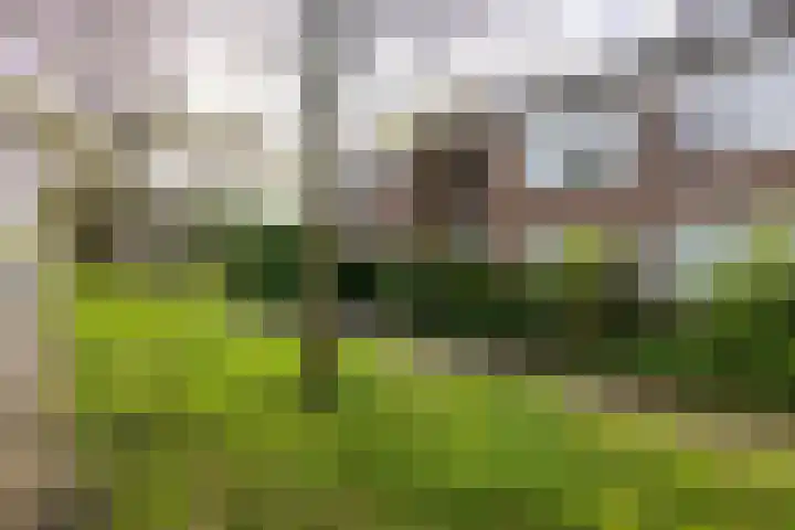 Agaatlaan 9 Utrecht thumbnail 33