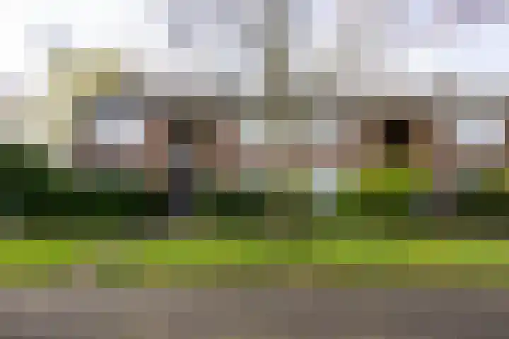 Agaatlaan 9 Utrecht thumbnail 34