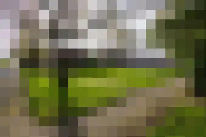 Agaatlaan 9 Utrecht thumbnail 35