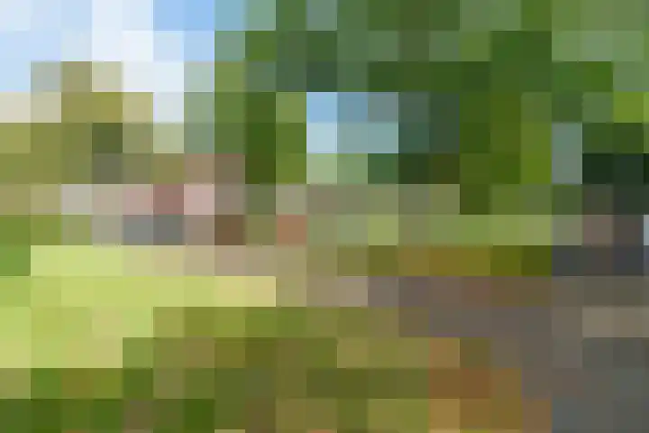 Agaatlaan 9 Utrecht thumbnail 38