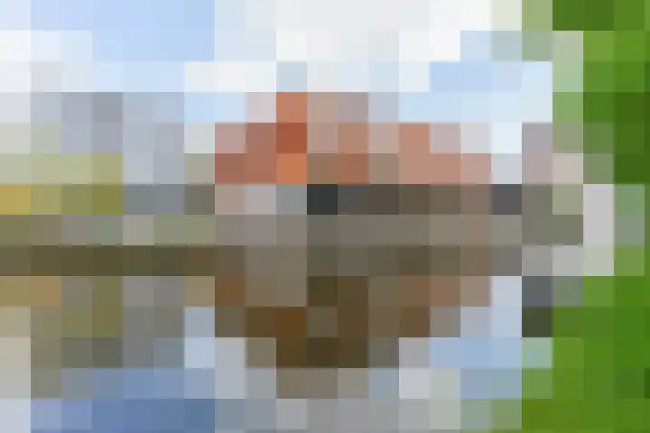 Agaatlaan 9 Utrecht thumbnail 40