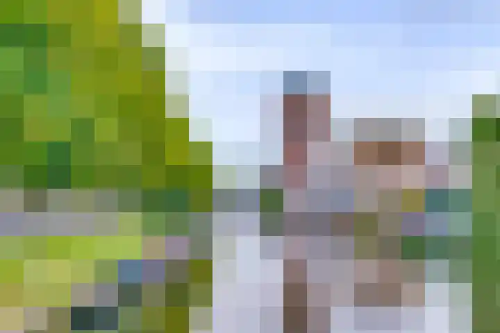 Agaatlaan 9 Utrecht thumbnail 41