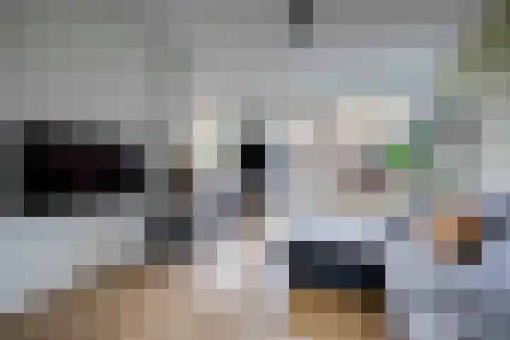 Agaatlaan 9 Utrecht thumbnail 5