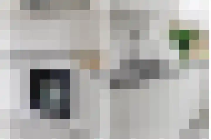 Agaatlaan 9 Utrecht thumbnail 8