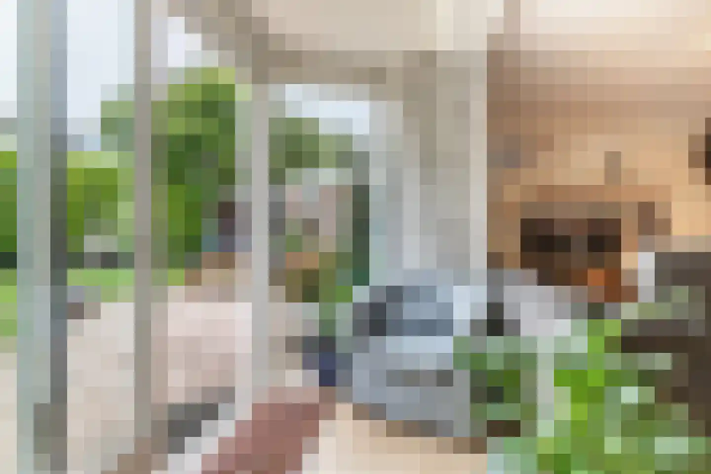 Agaatstoep 10 Assen thumbnail 30