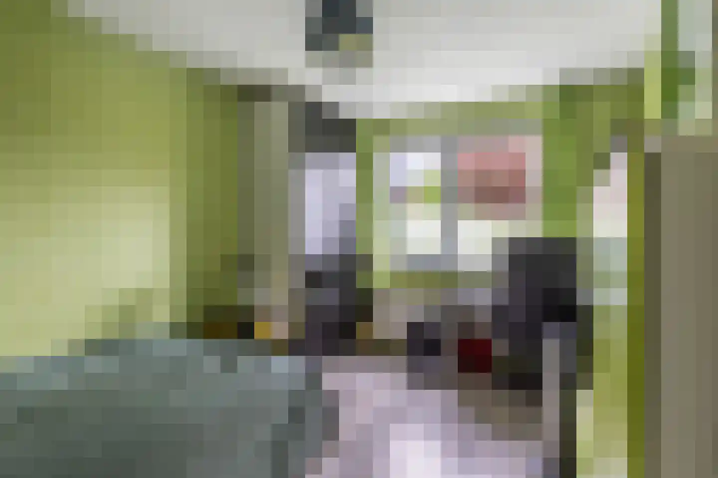 Agaatstoep 10 Assen thumbnail 35