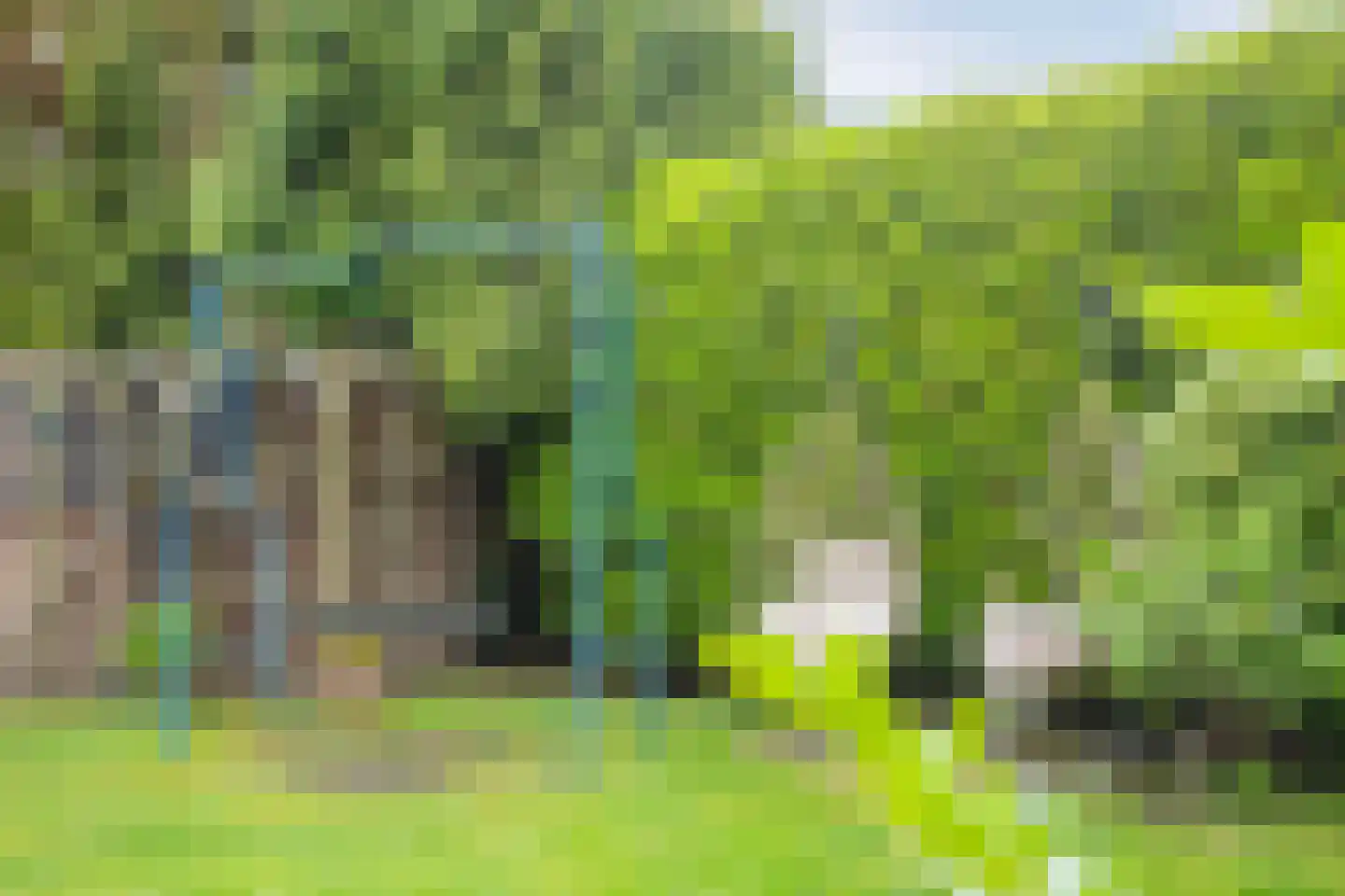 Agaatstoep 10 Assen thumbnail 53