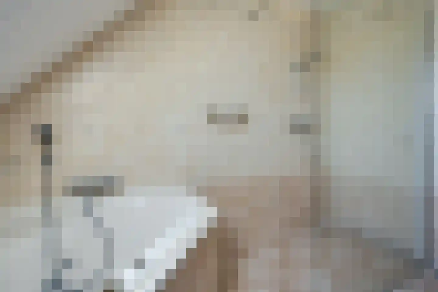 Agaatstoep 11 Assen thumbnail 22