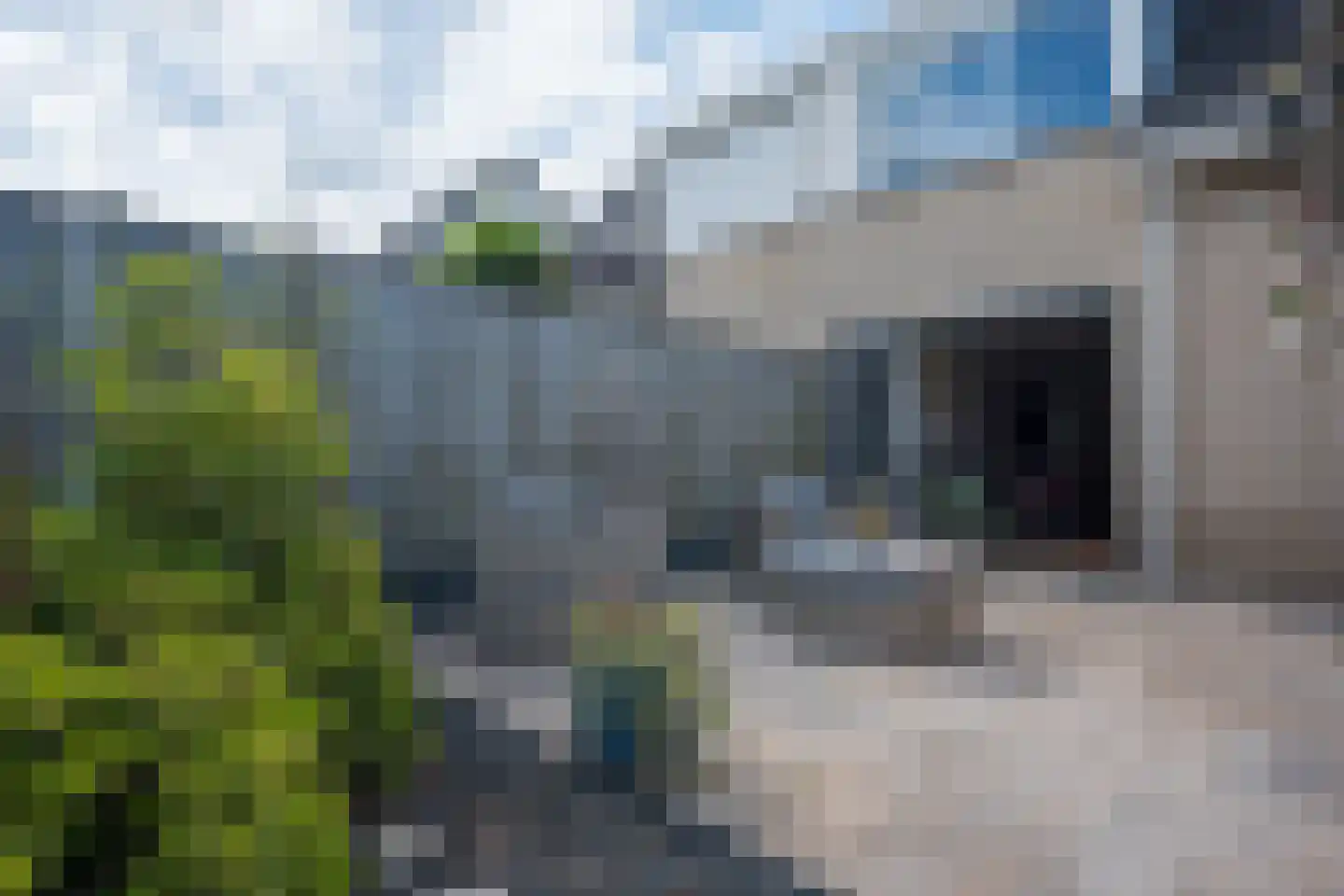 Agaatstoep 11 Assen thumbnail 31