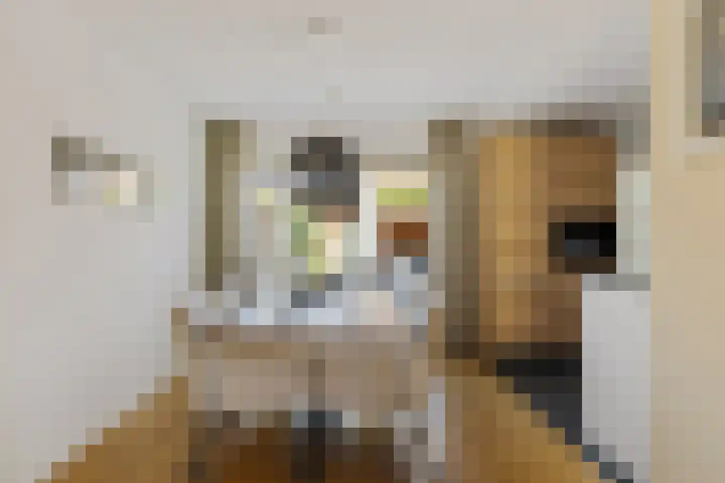 Agaatstoep 21 Assen thumbnail 10
