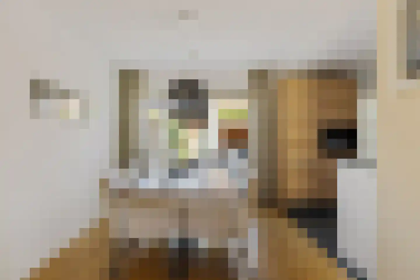 Agaatstoep 21 Assen thumbnail 10