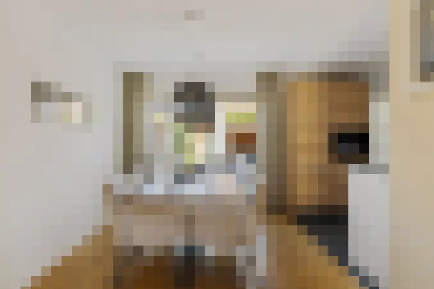 Agaatstoep 21 Assen thumbnail 17