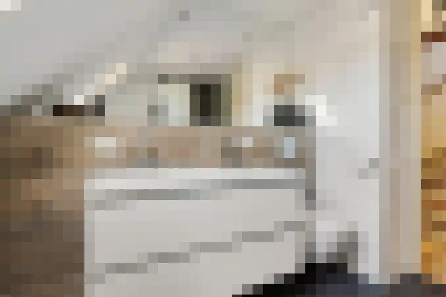 Agaatstoep 21 Assen thumbnail 30