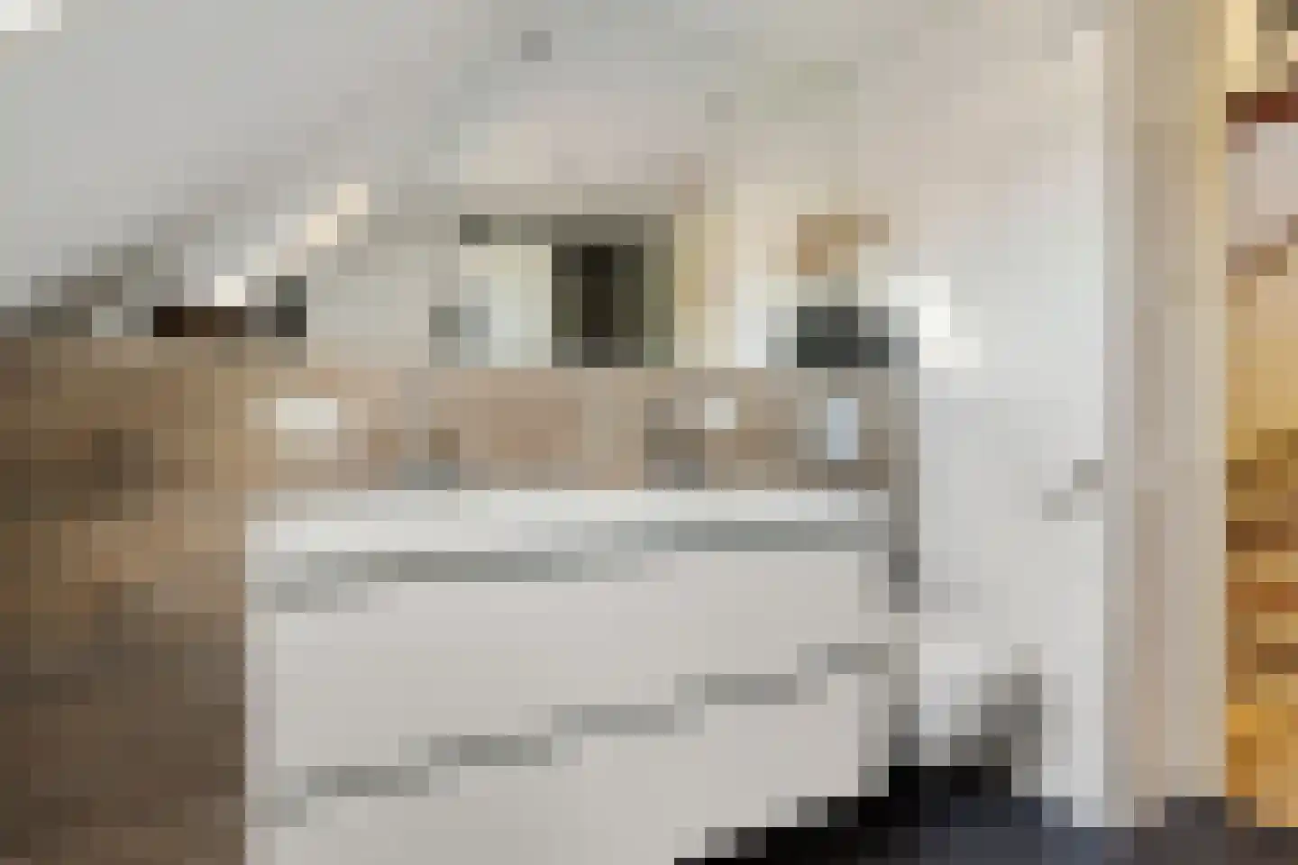 Agaatstoep 21 Assen thumbnail 30