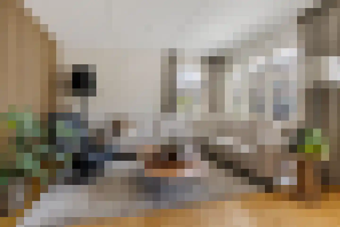 Agaatstoep 21 Assen thumbnail 4