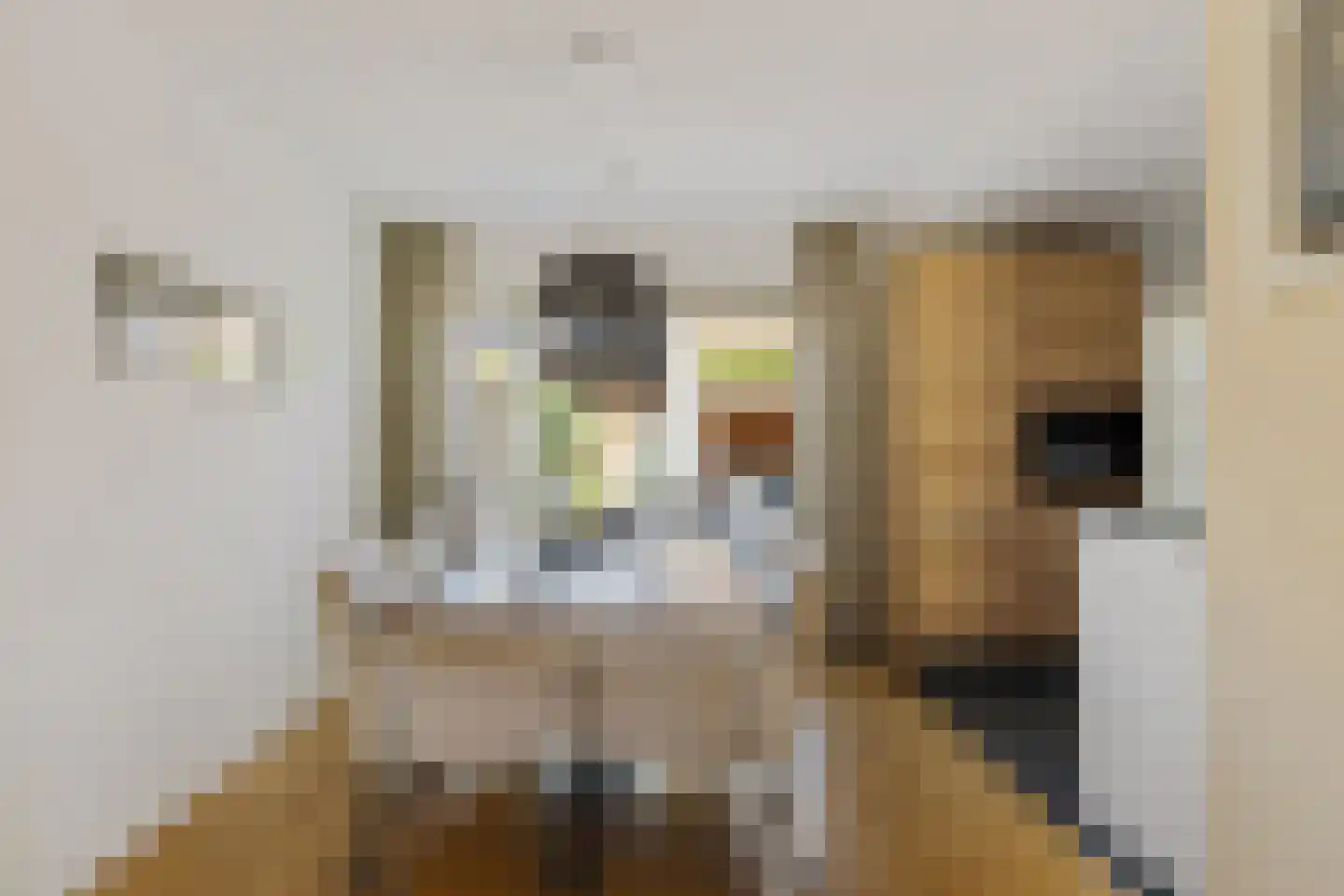 Agaatstoep 21 Assen thumbnail 4
