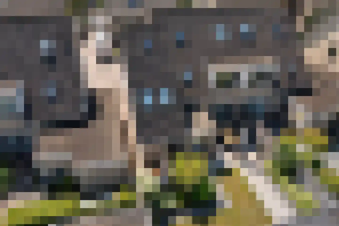 Agaatstoep 21 Assen thumbnail 48