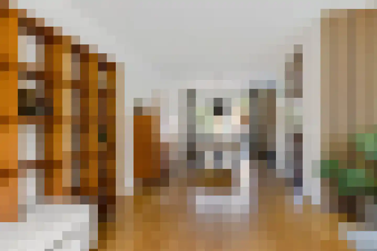 Agaatstoep 21 Assen thumbnail 8