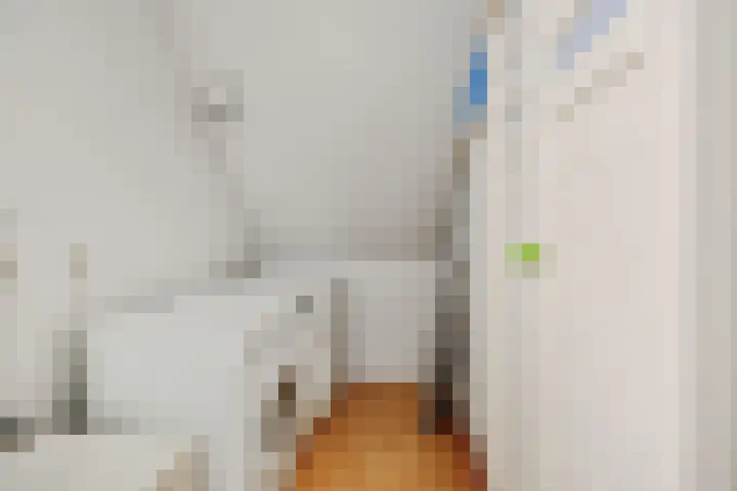 Agaatstraat 10 Helmond thumbnail 39