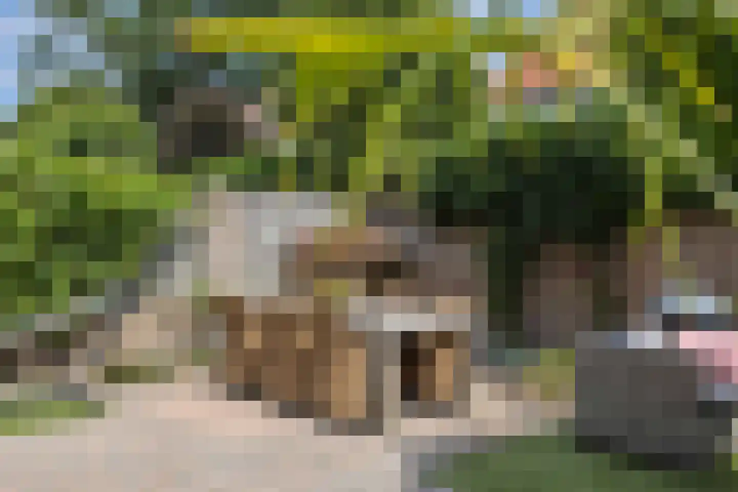 Agaatstraat 10 Helmond thumbnail 47