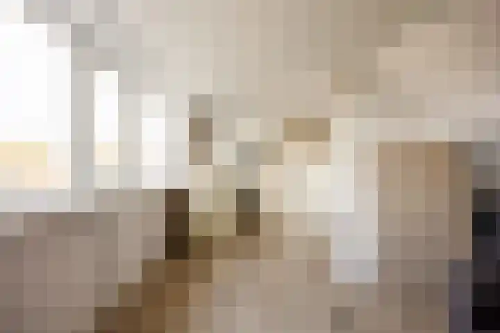 Agaatstraat 17 Nijmegen thumbnail 26