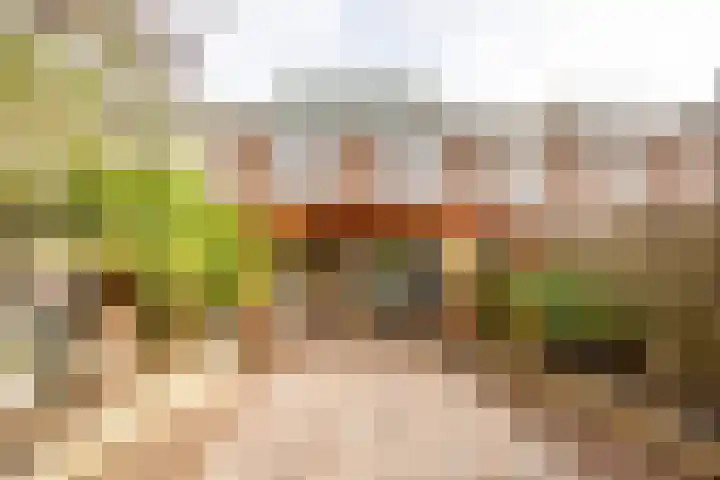 Agaatstraat 17 Nijmegen thumbnail 30