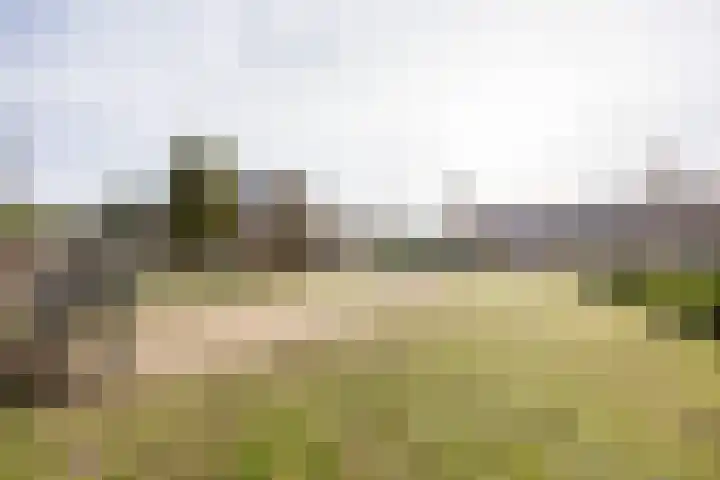 Agaatstraat 17 Nijmegen thumbnail 32