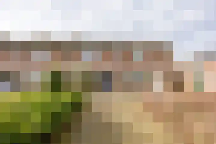 Agaatstraat 17 Nijmegen thumbnail 33