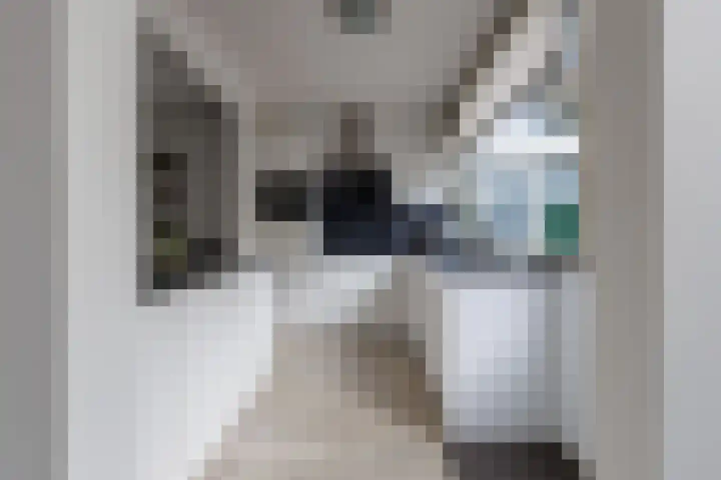Agaatstraat 2 Groningen thumbnail 17
