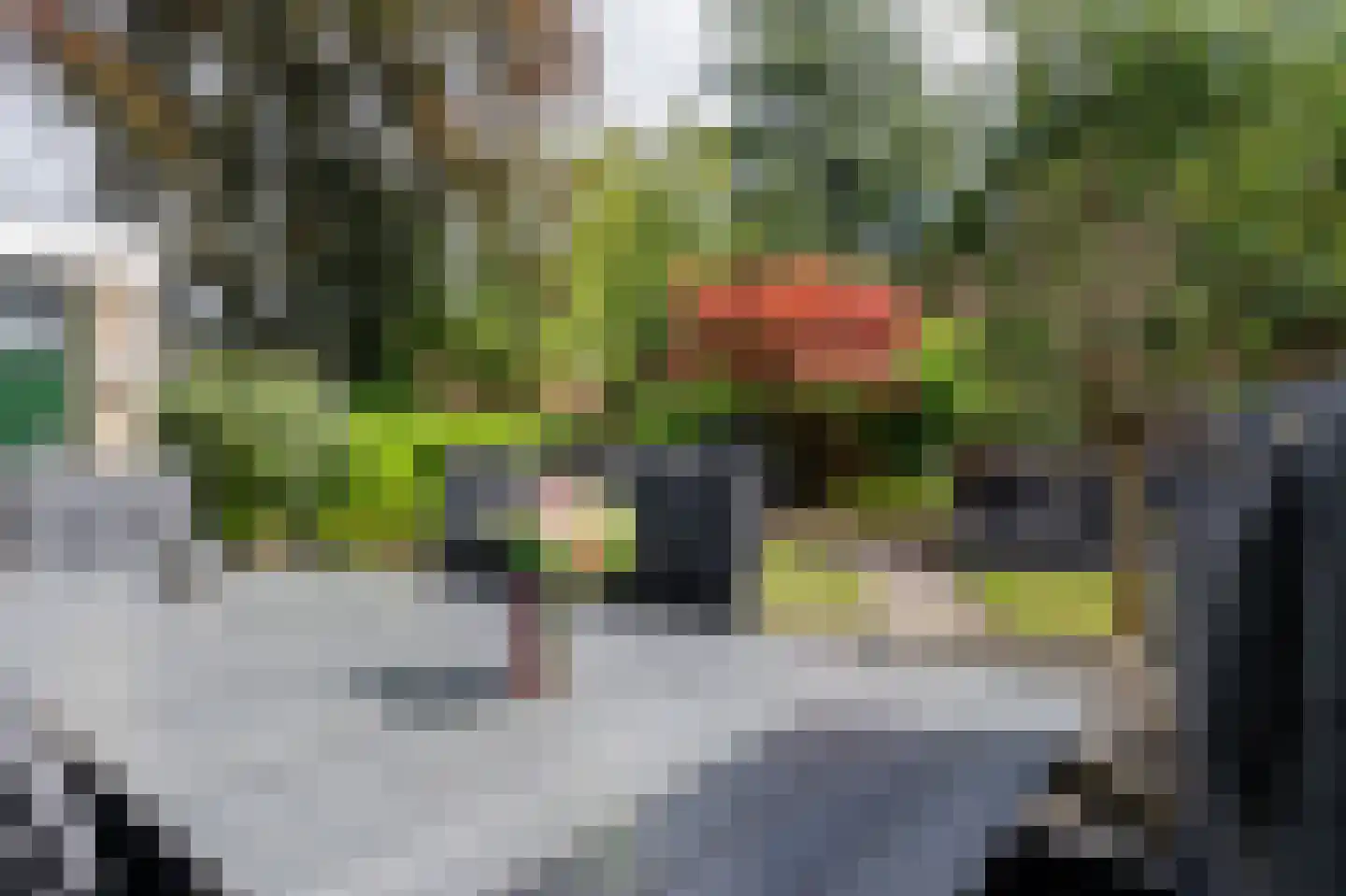 Agaatstraat 2 Groningen thumbnail 28