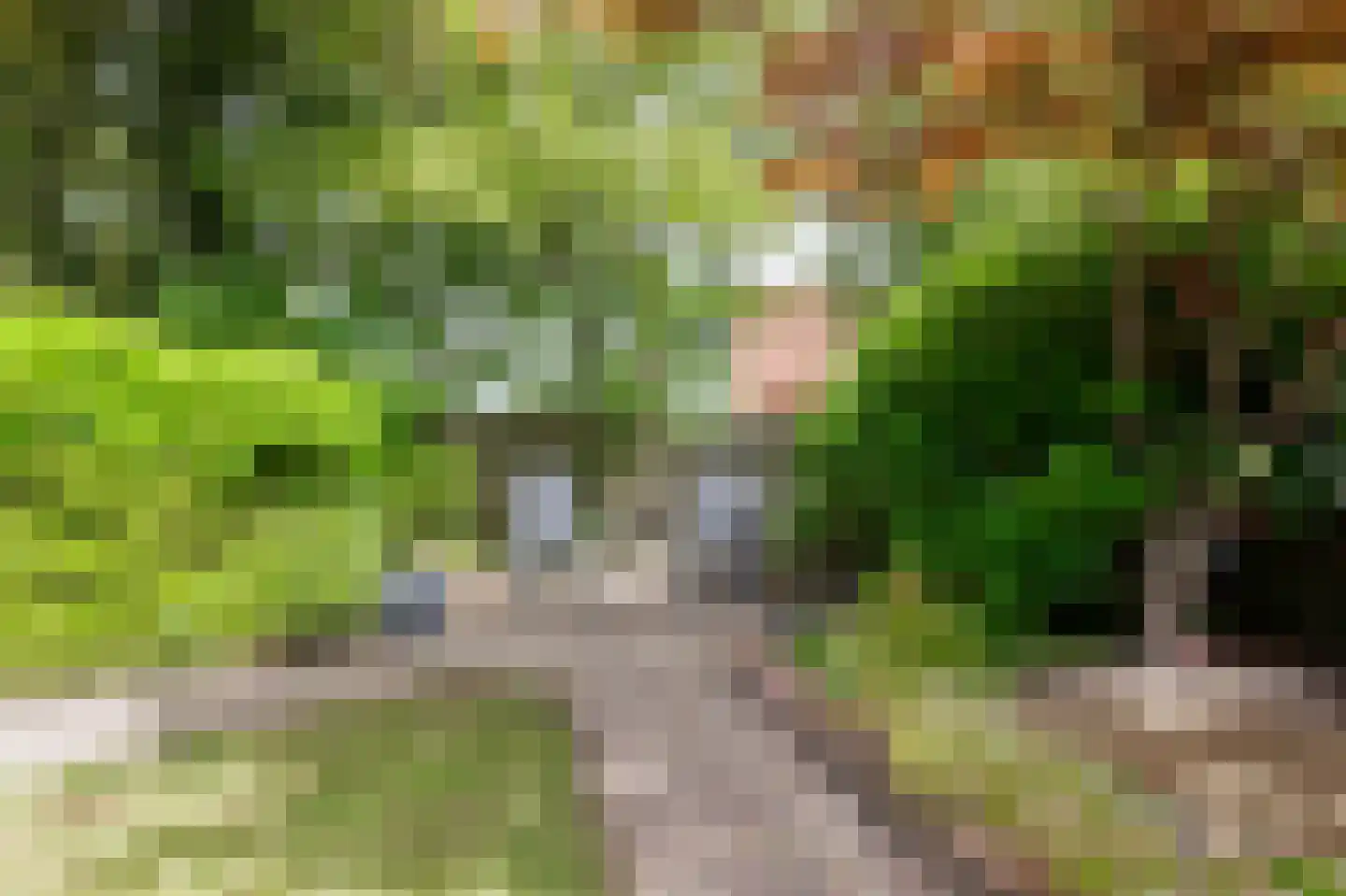 Agaatstraat 2 Groningen thumbnail 31