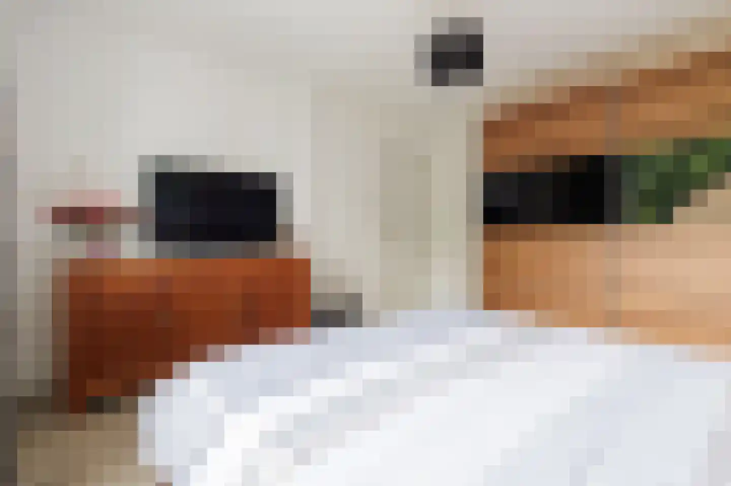 Agaatstraat 2 Groningen thumbnail 46