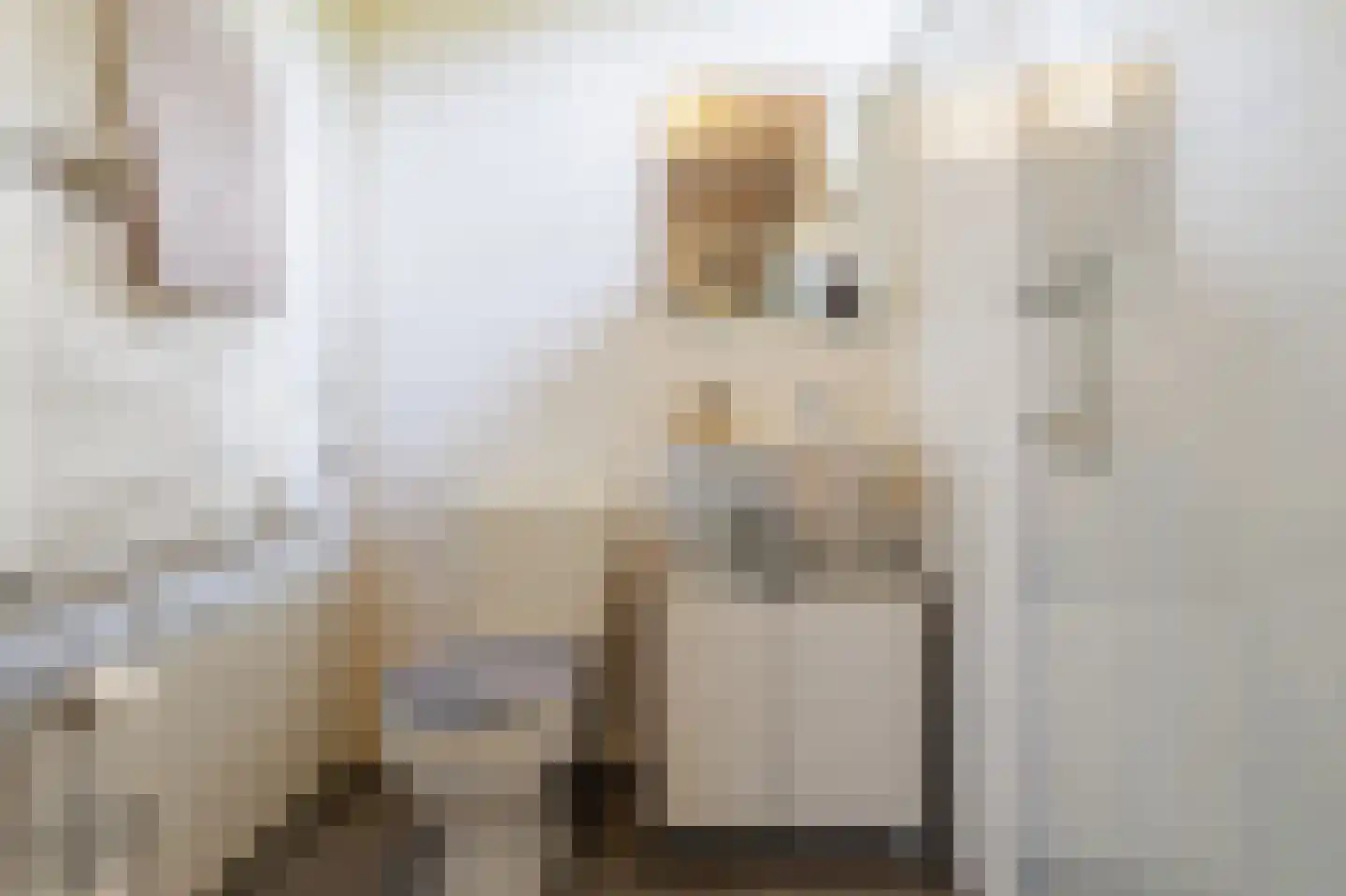 Agaatstraat 2 Groningen thumbnail 52