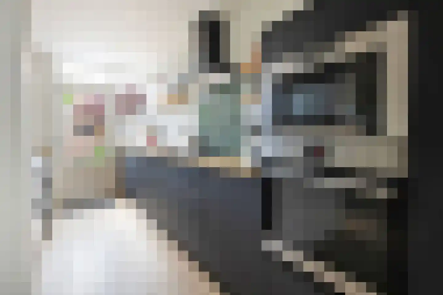 Agaatstraat 23 Breda thumbnail 19