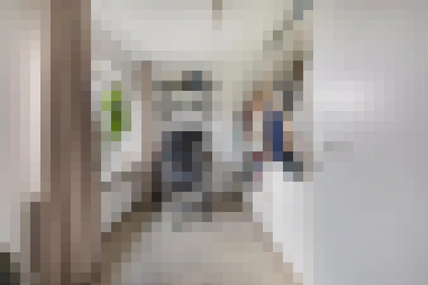 Agaatstraat 23 Breda thumbnail 27