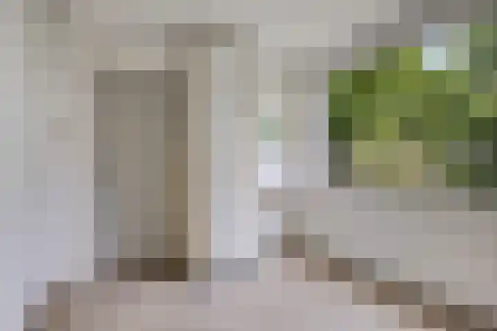 Agaatstraat 25 Nijmegen thumbnail 15