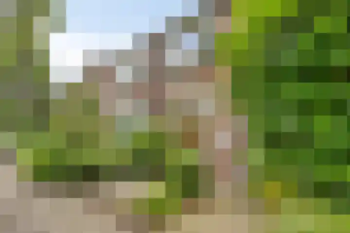 Agaatstraat 25 Nijmegen thumbnail 22