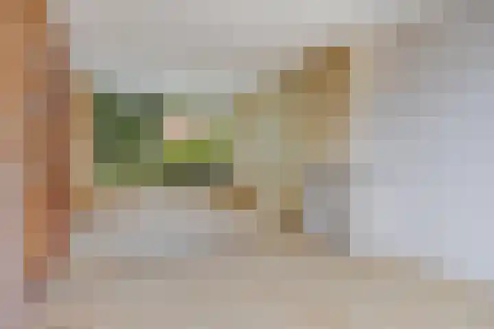 Agaatstraat 25 Nijmegen thumbnail 4