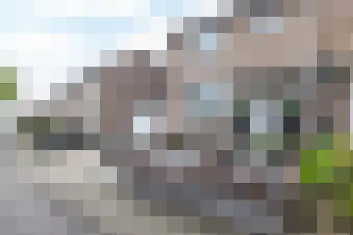 Agaatstraat 33 Heerlen thumbnail 36