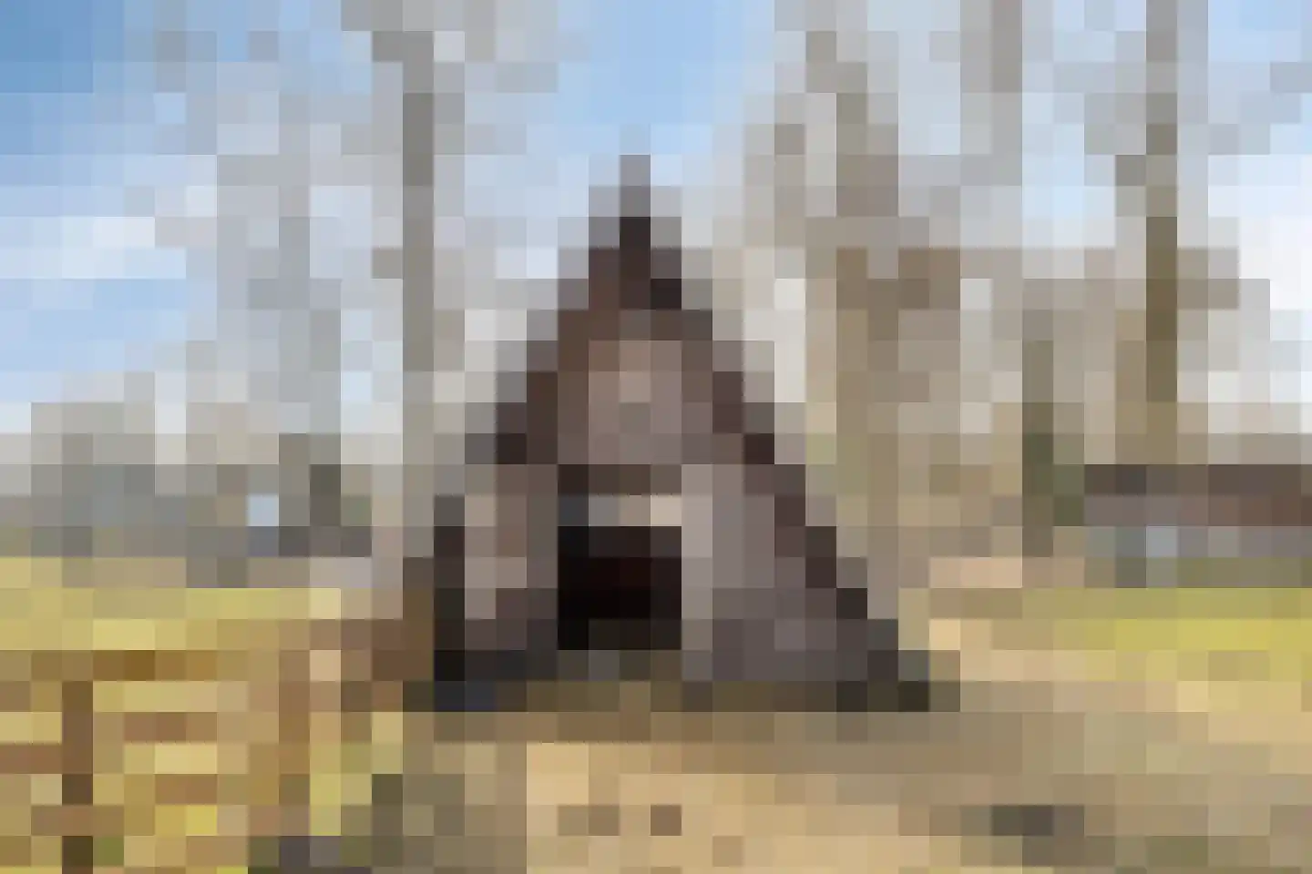 Agaatstraat 4 Groningen thumbnail 35