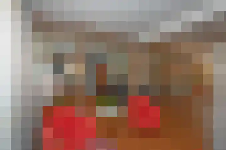 Agaatstraat 8 Enschede thumbnail 38