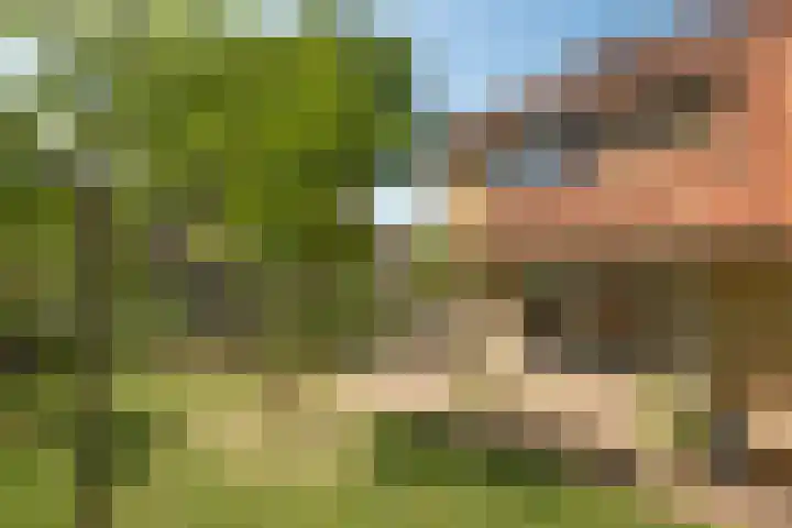 Agaatstraat 8 Enschede thumbnail 4