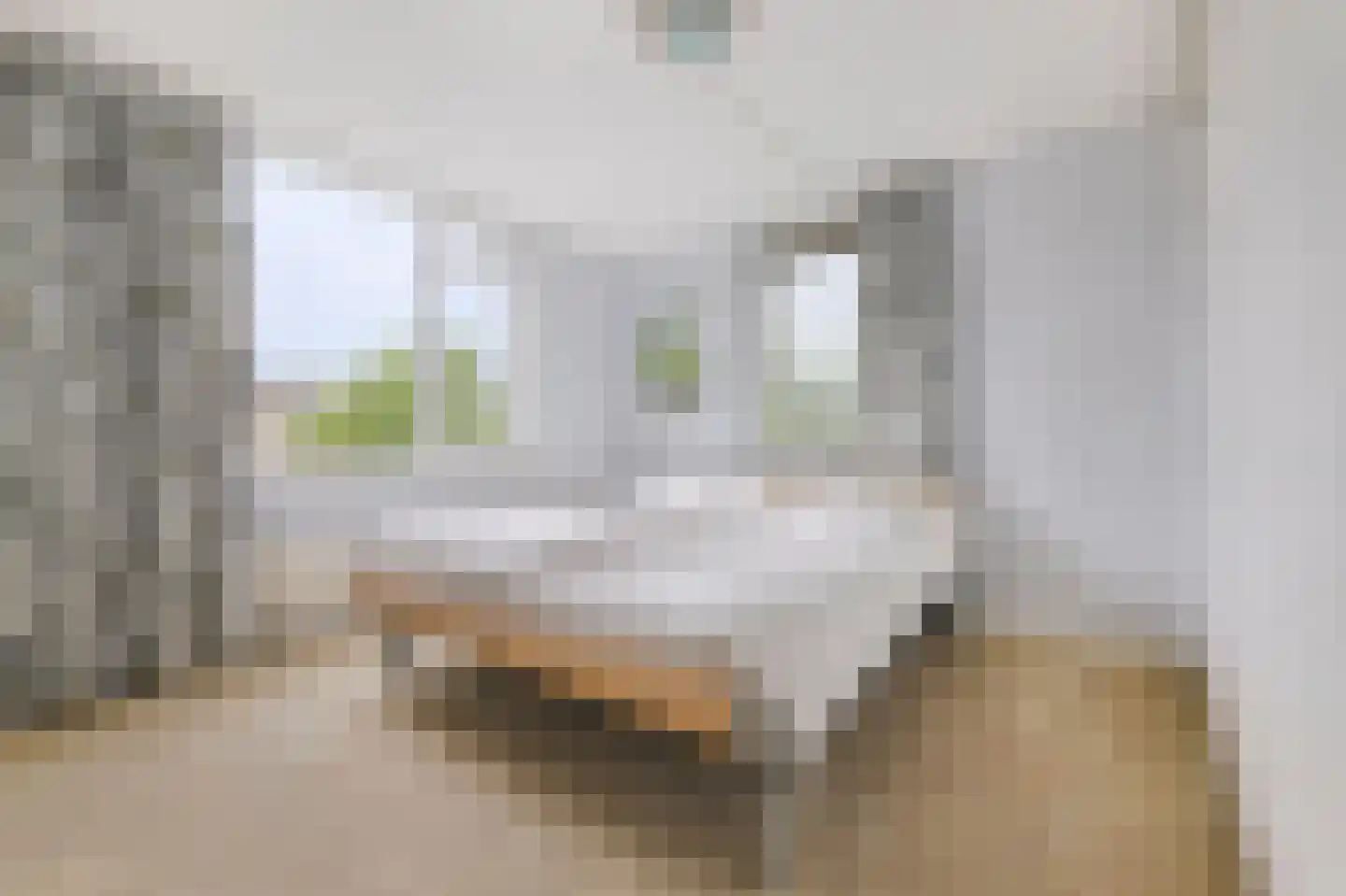 Agaatvlinder 18 Amersfoort thumbnail 20