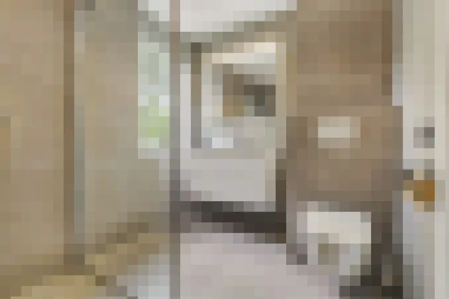 Agaatvlinder 18 Amersfoort thumbnail 24