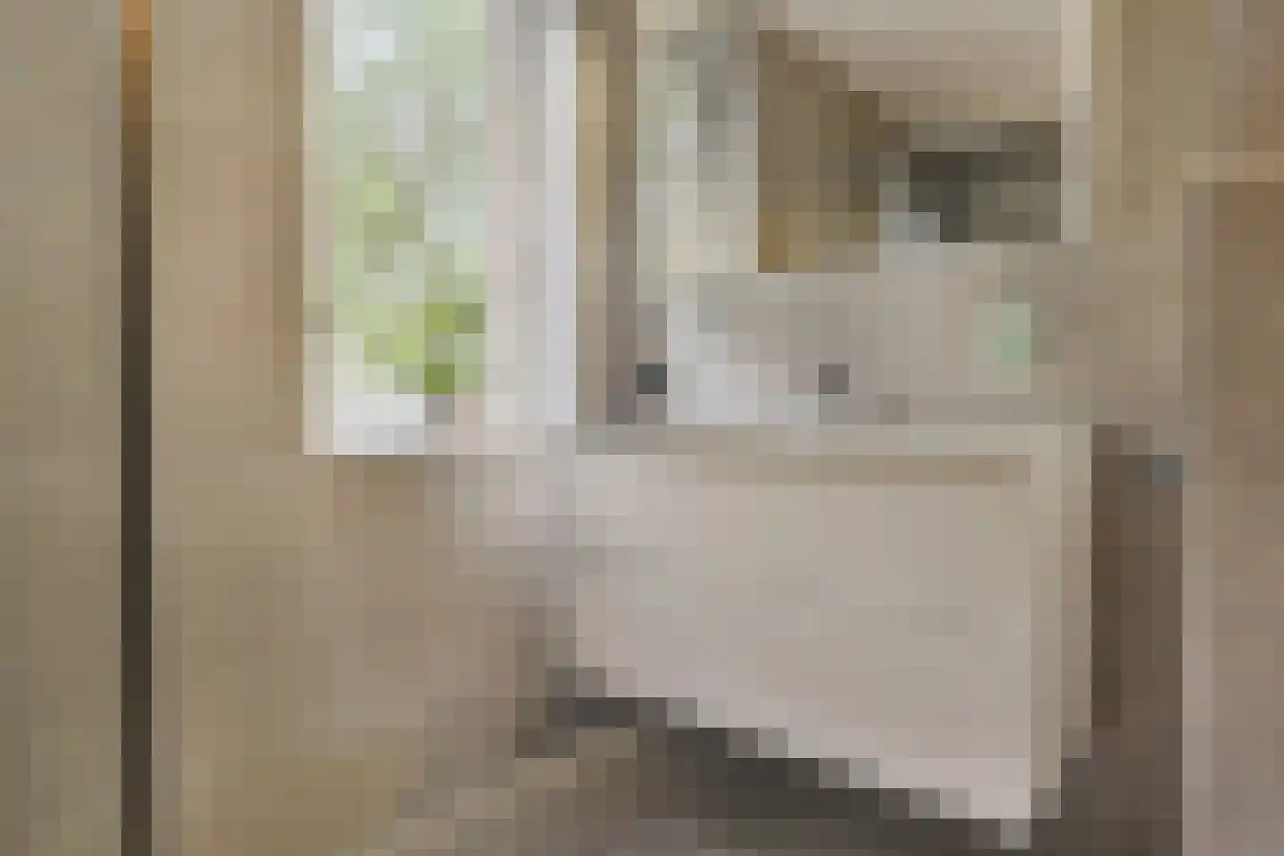 Agaatvlinder 18 Amersfoort thumbnail 25