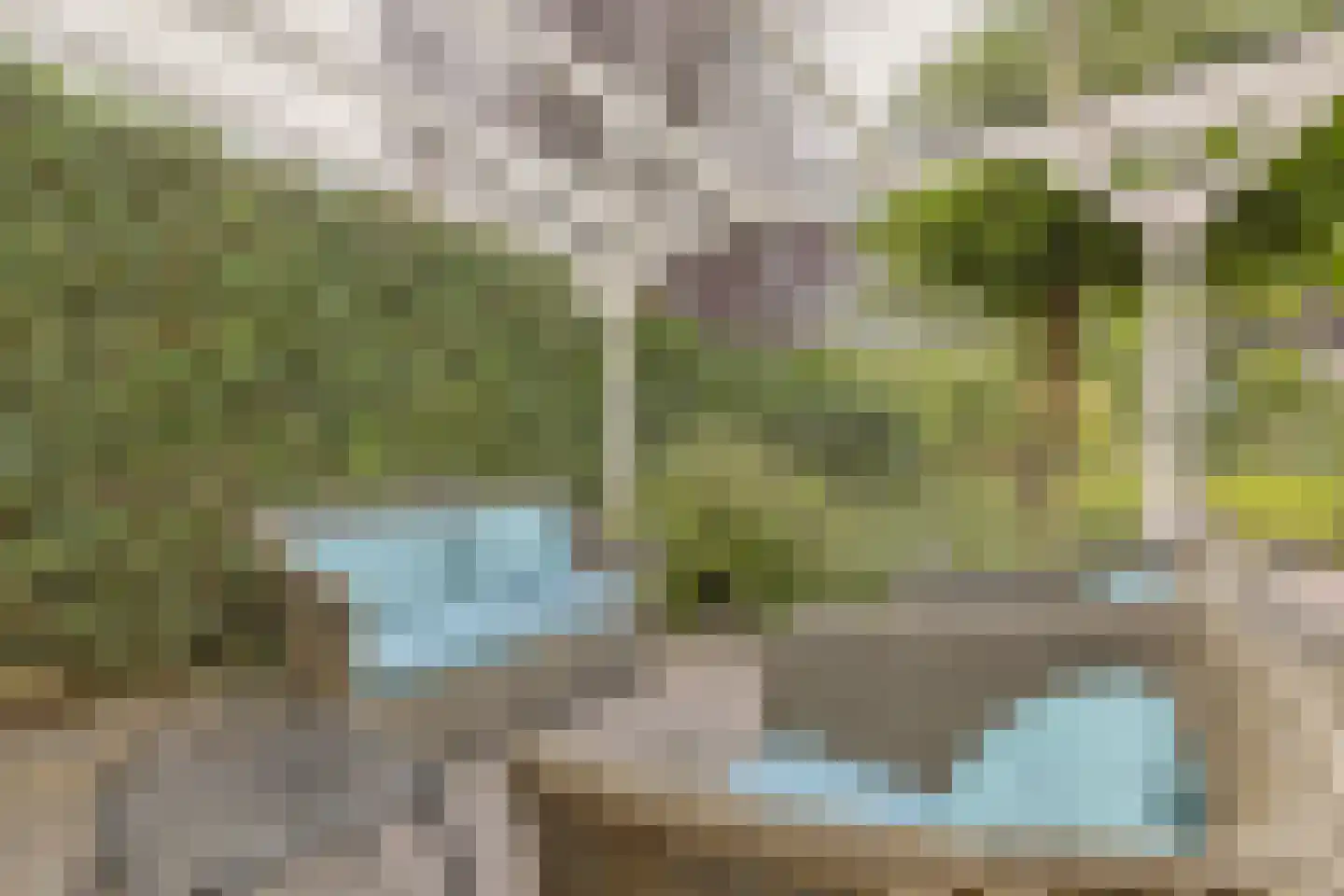 Agaatvlinder 18 Amersfoort thumbnail 36