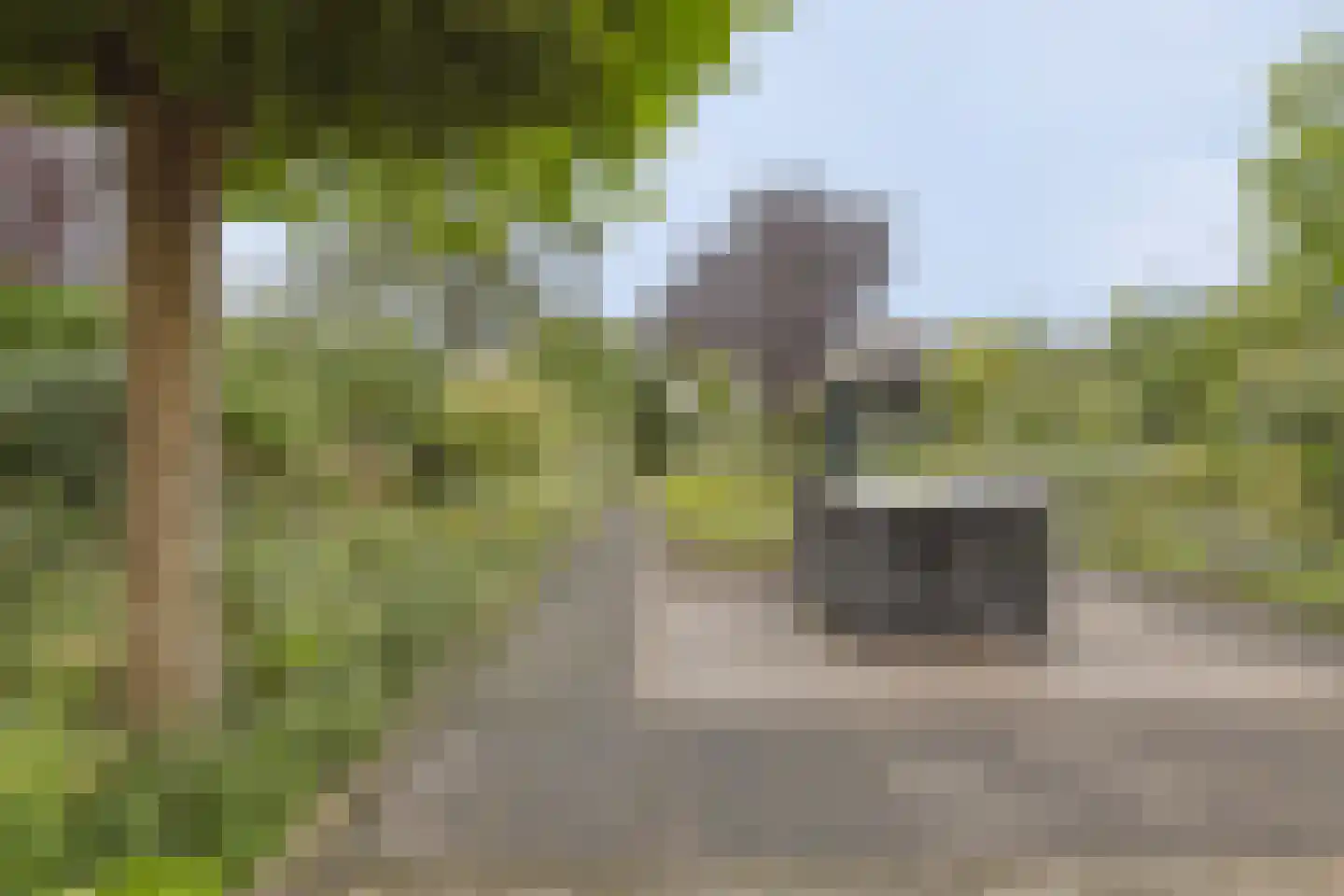 Agaatvlinder 18 Amersfoort thumbnail 37