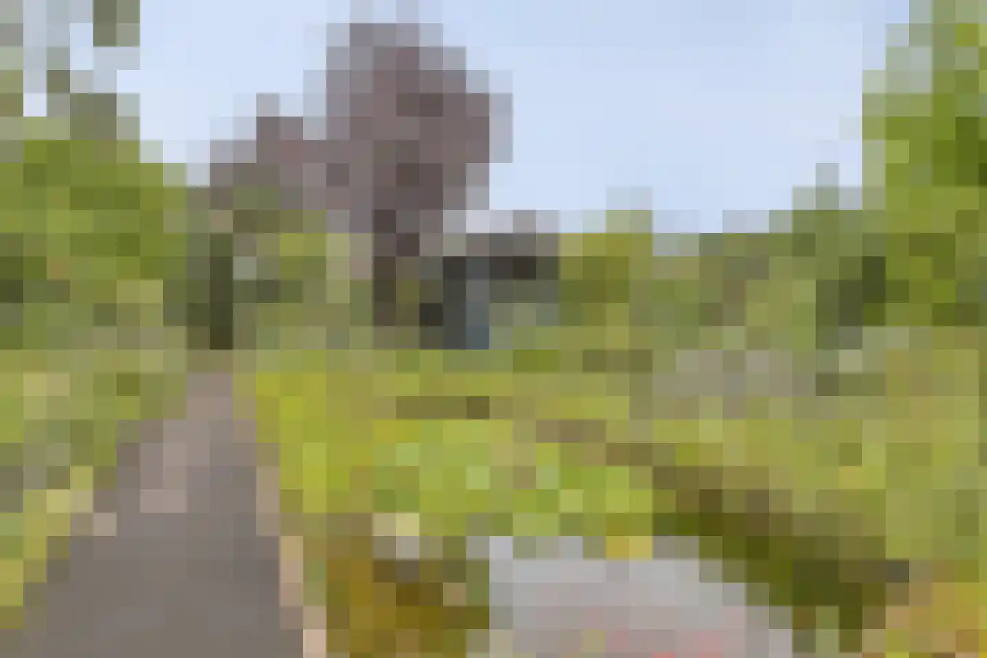 Agaatvlinder 18 Amersfoort thumbnail 38