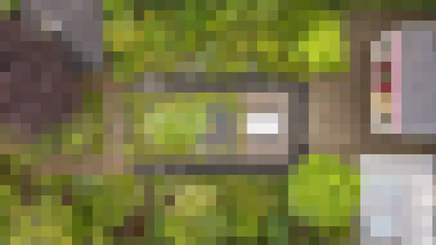 Agaatvlinder 18 Amersfoort thumbnail 39